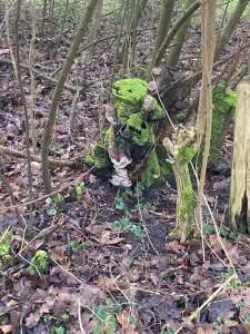 Jacquelien 01 Mos blijft een bijzonder groeisel